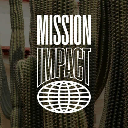 Mission Impact Mexico