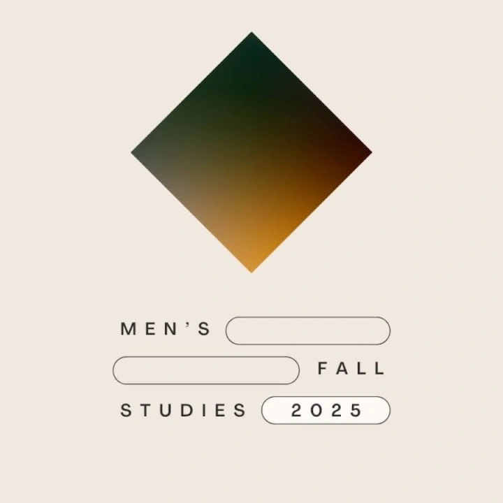 Mens studies