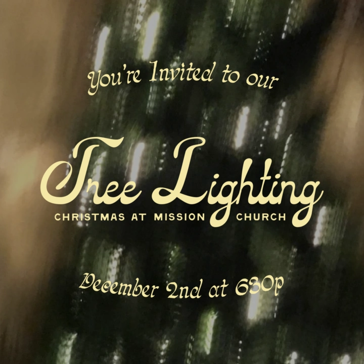 Christmas20 TREE20 LIGHTING20 22